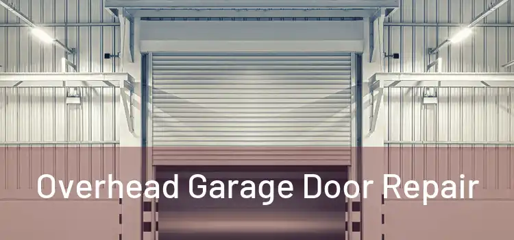  Overhead Garage Door Repair 